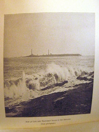A Cape Ann Chronicle; or, Lily's Garden