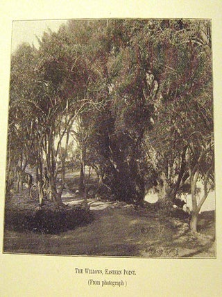 A Cape Ann Chronicle; or, Lily's Garden
