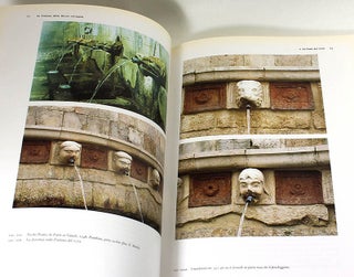 La fontana della Rivera all'Aquila detta delle 'Novantanove cannelle