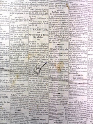 The Cincinnati Daily Star, Volume 16, Wednesday Evening, July 2, 1879