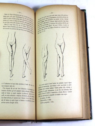 Archivio di Ortopedia