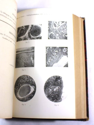 Annali di ottalmologia Anno XXXVIII