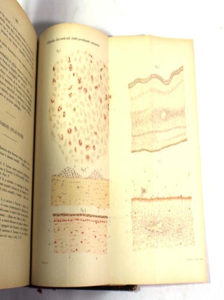 Annali di ottalmologia Anno XXXVIII