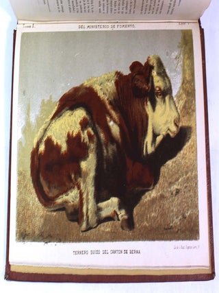 Gaceta Agrícola del Ministerio de Fomento, Tomo 1, 1876