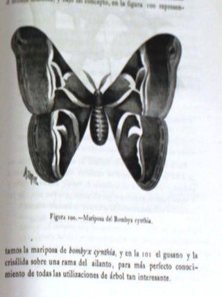 Gaceta Agrícola del Ministerio de Fomento, Tomo 1, 1876