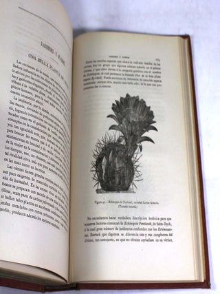 Gaceta Agrícola del Ministerio de Fomento, Tomo 1, 1876