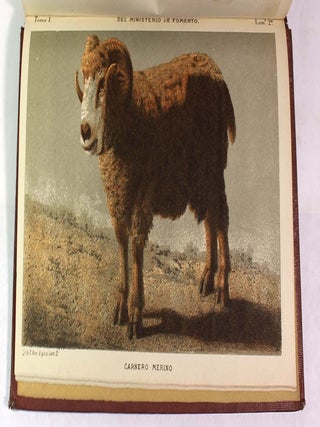 Gaceta Agrícola del Ministerio de Fomento, Tomo 1, 1876