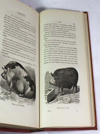 Gaceta Agrícola del Ministerio de Fomento, Tomo 1, 1876