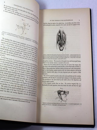 Researches upon the Venom of the Rattlesnake: With an Investigation of the Anatomy and Physiology of the Organs Concerned