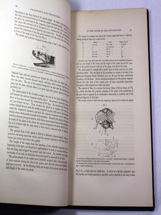 Researches upon the Venom of the Rattlesnake: With an Investigation of the Anatomy and Physiology of the Organs Concerned