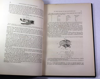 Researches upon the Venom of the Rattlesnake: With an Investigation of the Anatomy and Physiology of the Organs Concerned